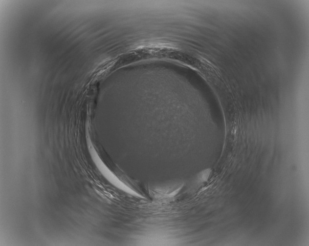 X0000056331014200509161704