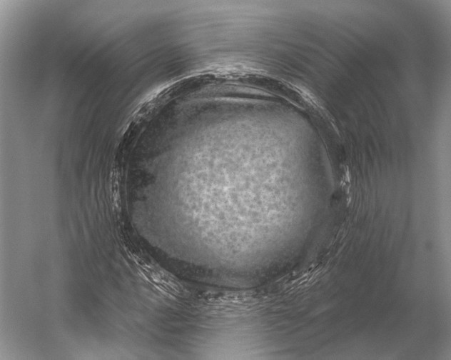 X0000056331016200509161704