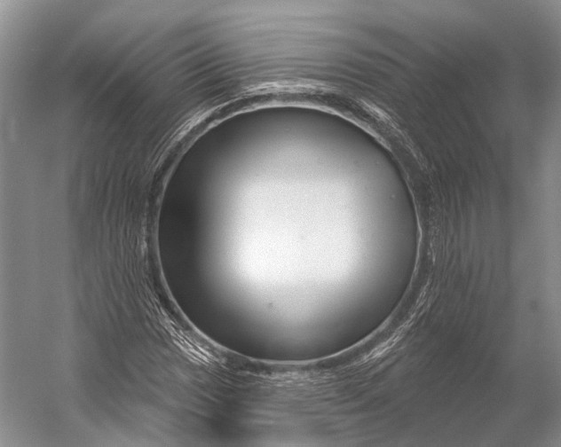 X0000056331017200509161704