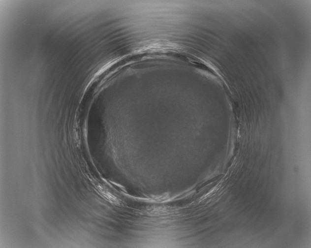 X0000056331018200509161704