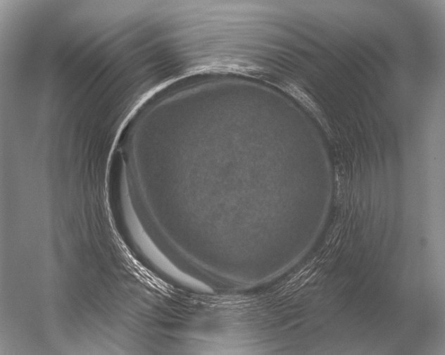 X0000056331020200509161704