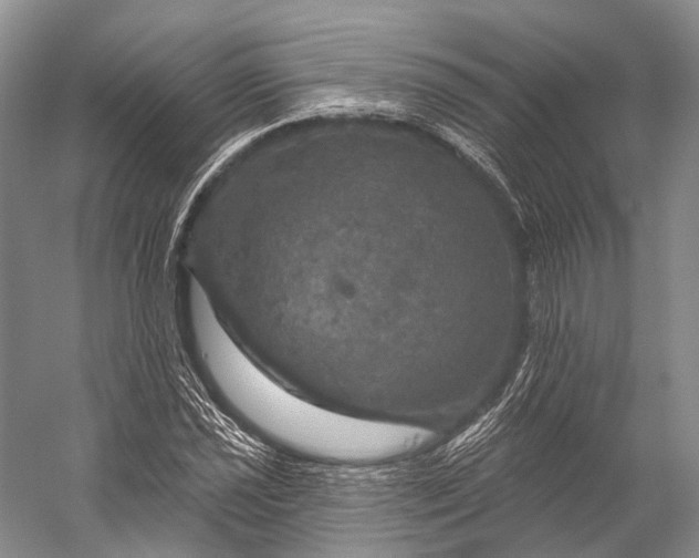 X0000056331021200509161704