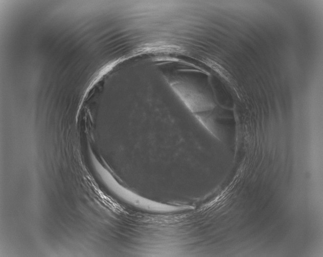 X0000056331022200509161704