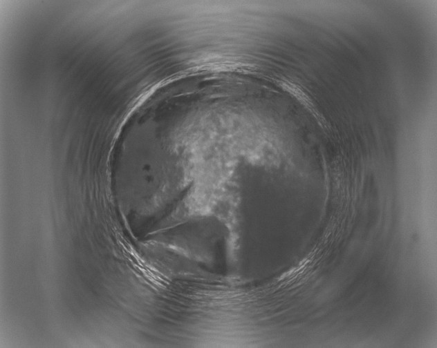 X0000056331023200509161704