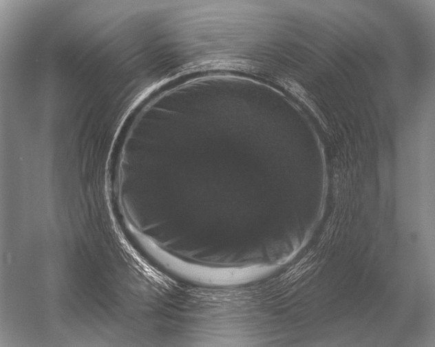 X0000056331024200509161704