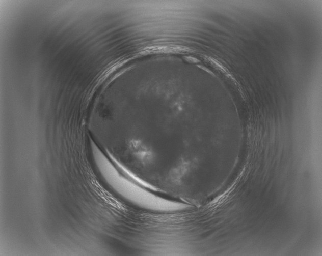 X0000056331025200509161704