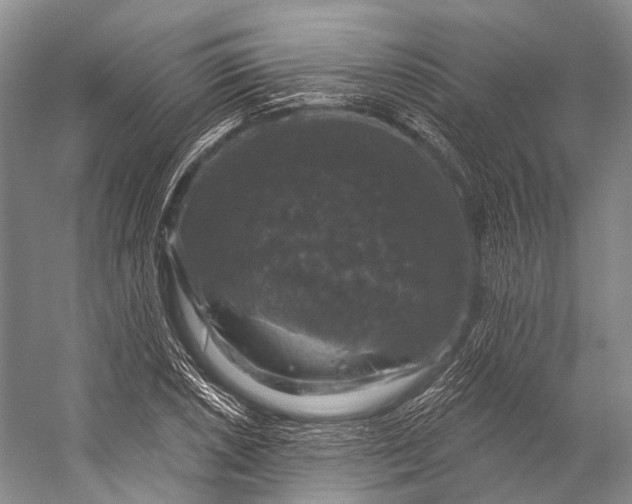 X0000056331026200509161704