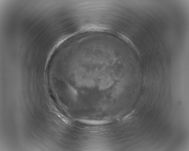 X0000056331027200509161704