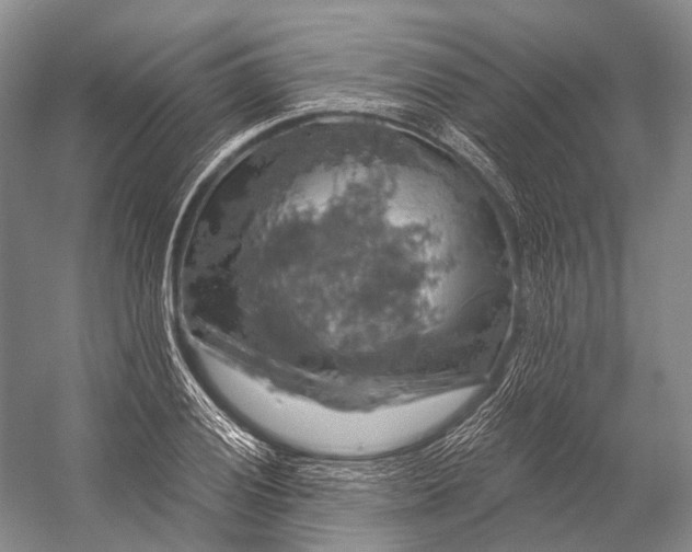 X0000056331028200509161704