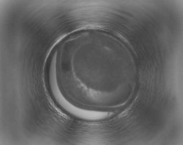 X0000056331029200509161704