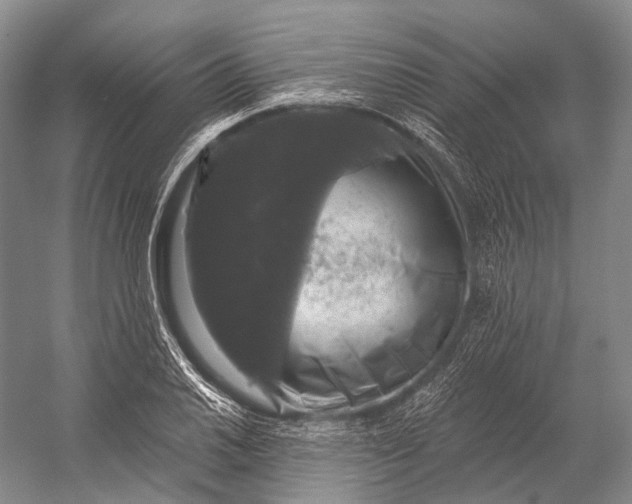 X0000056331030200509161704