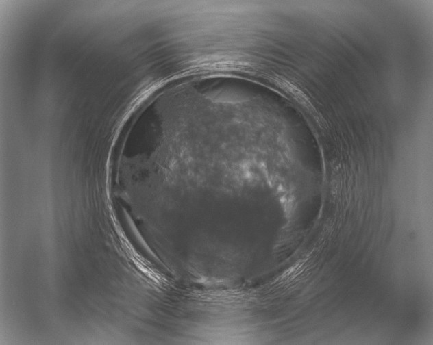 X0000056331031200509161704