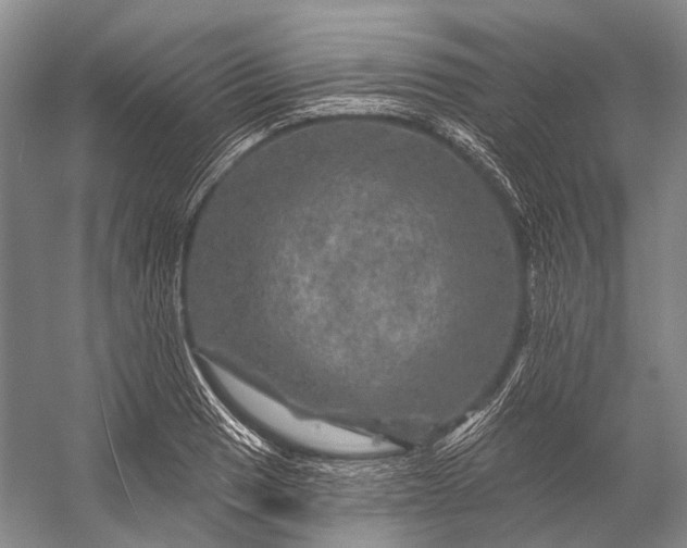 X0000056331033200509161704