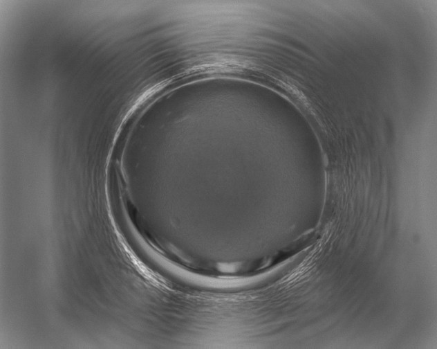 X0000056331034200509161704