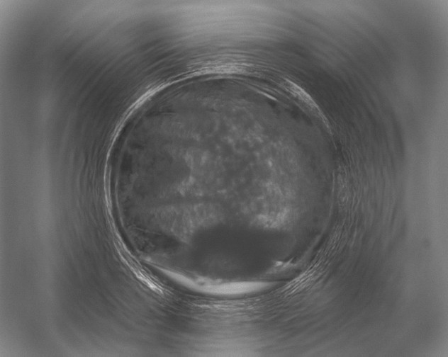 X0000056331035200509161704