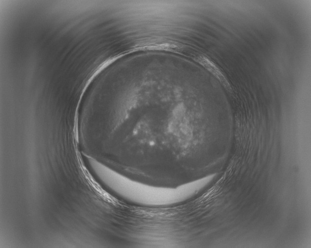 X0000056331036200509161704