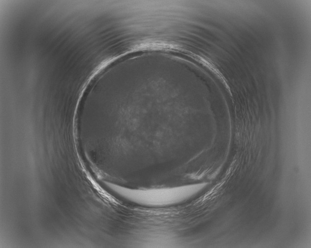 X0000056331037200509161704