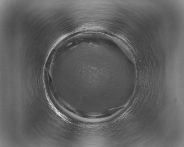 X0000056331038200509161704