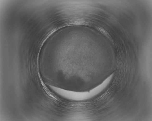 X0000056331039200509161704