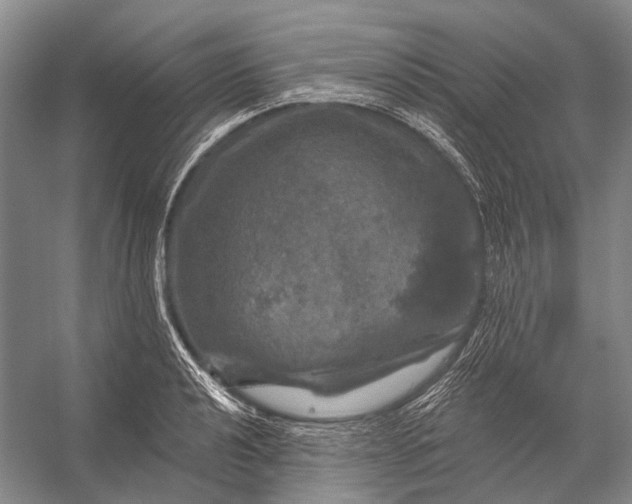 X0000056331040200509161704