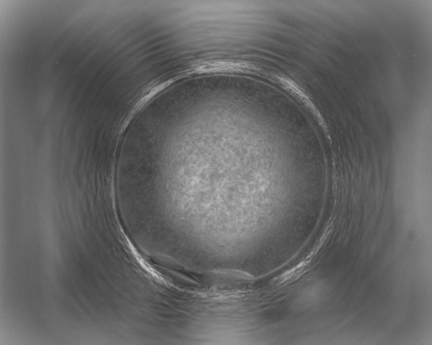 X0000056331041200509161704