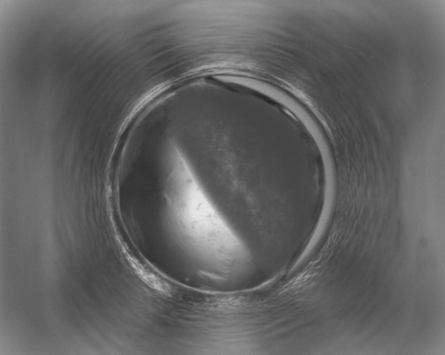 X0000056331042200509161704