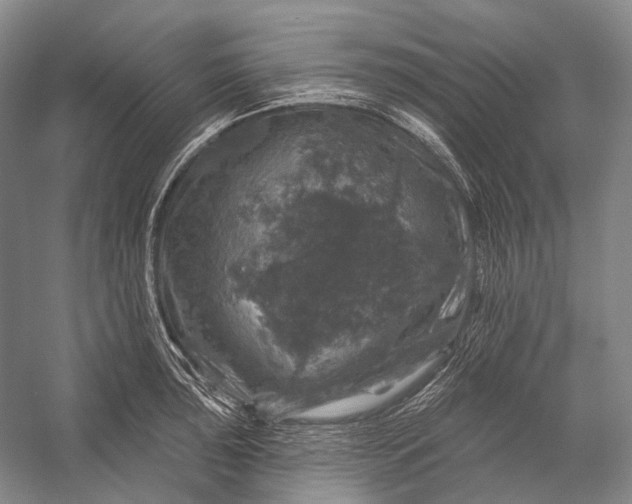 X0000056331043200509161704