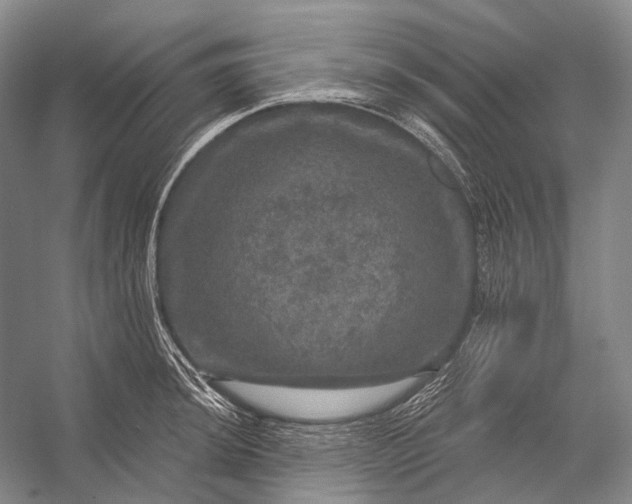 X0000056331044200509161704