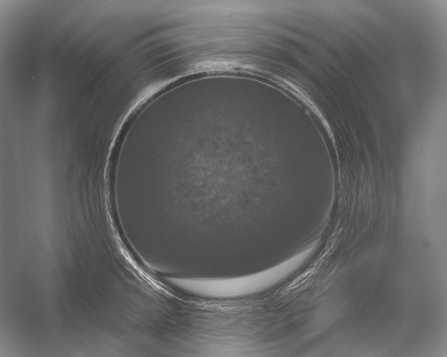 X0000056331045200509161704