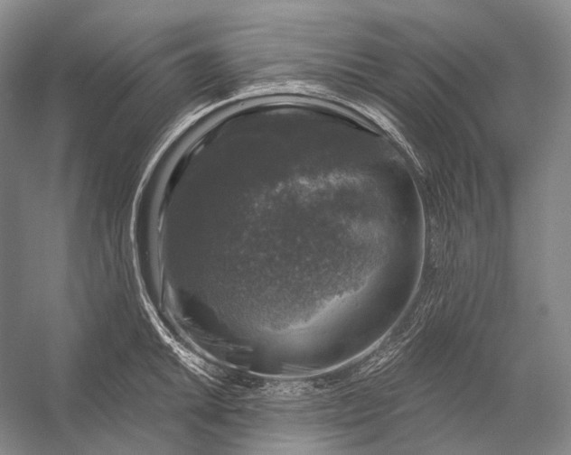 X0000056331046200509161704