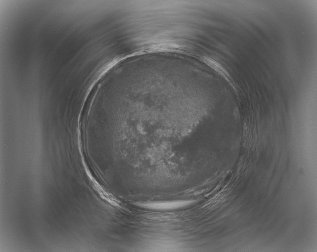 X0000056331047200509161704