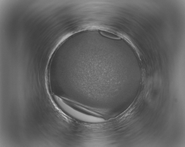 X0000056331048200509161704