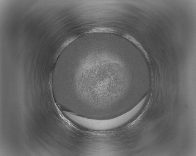 X0000056331049200509161704