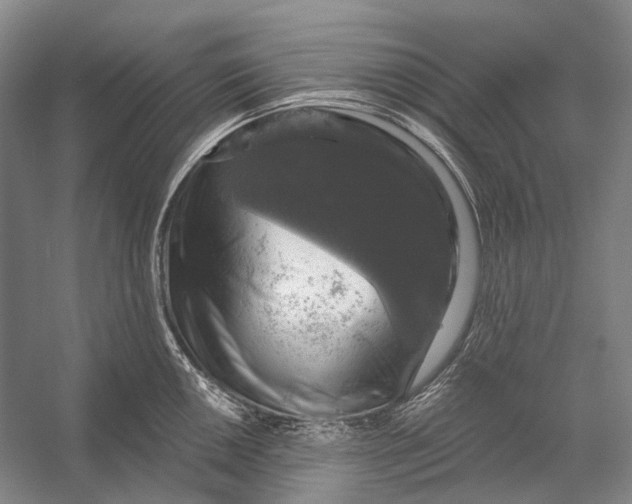 X0000056331050200509161704