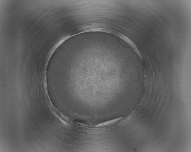 X0000056331051200509161704