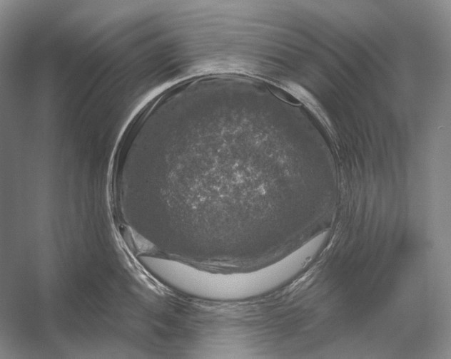 X0000056331052200509161704