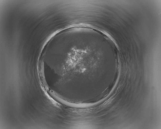 X0000056331054200509161704