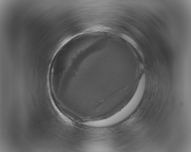 X0000056331055200509161704