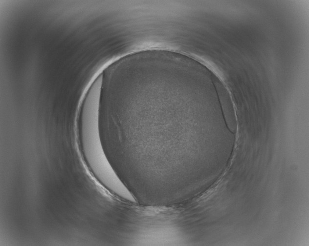 X0000056331056200509161704