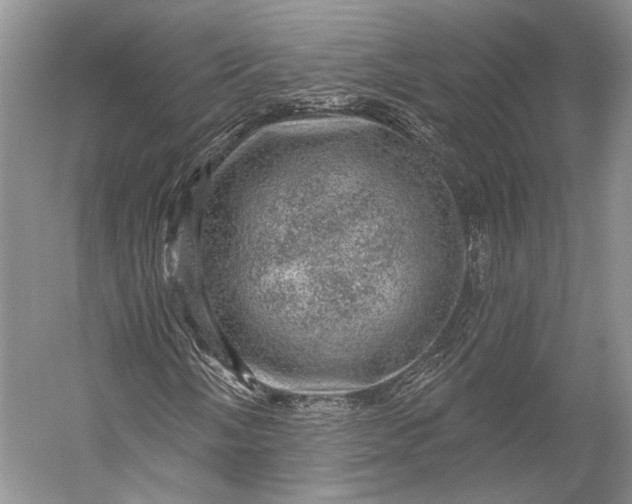 X0000056331058200509161703