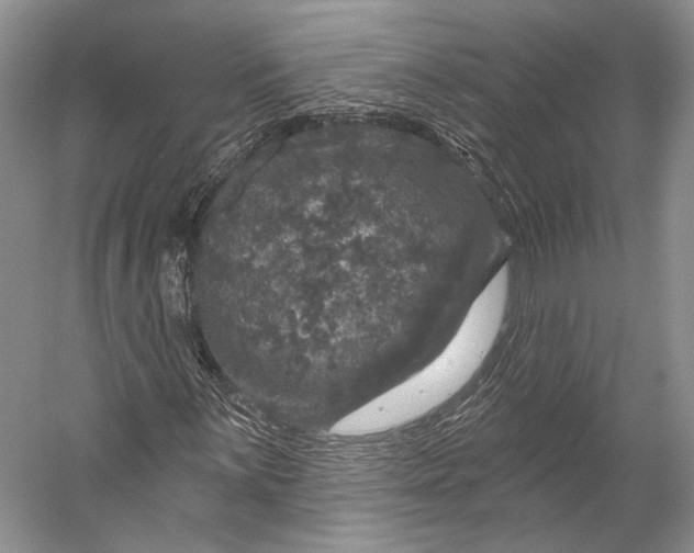 X0000056331059200509161703