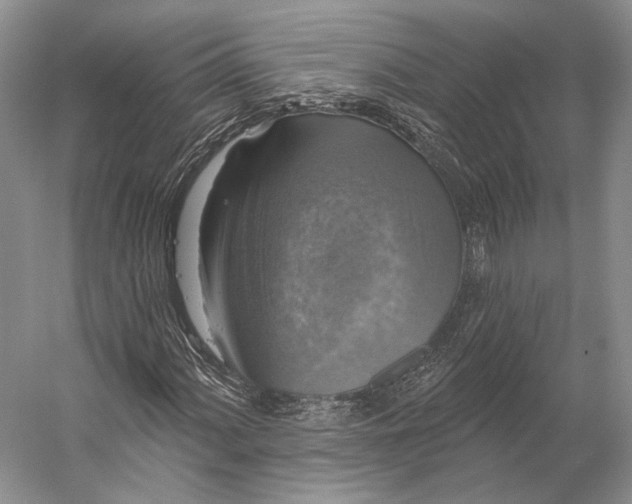 X0000056331060200509161703