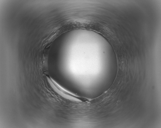 X0000056331061200509161703