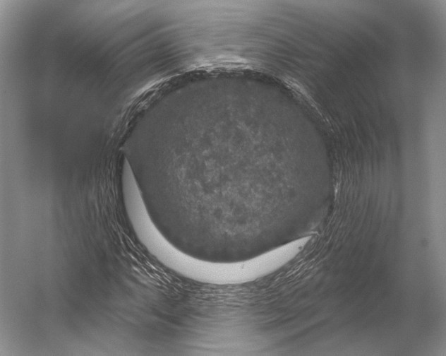 X0000056331063200509161703