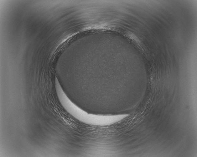 X0000056331064200509161703