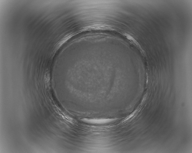 X0000056331065200509161703