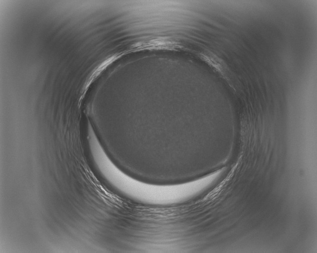 X0000056331066200509161703