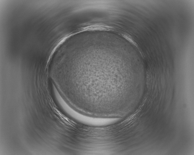 X0000056331067200509161703