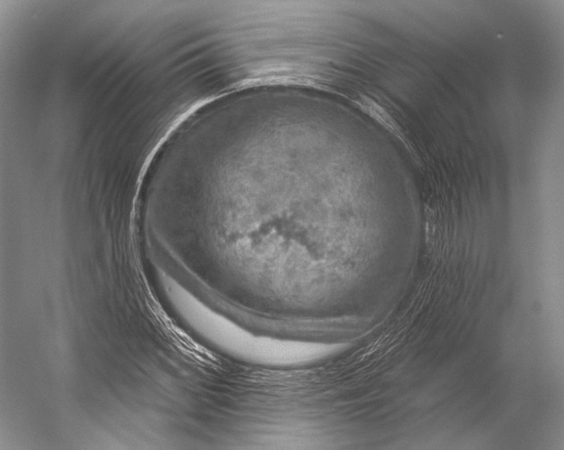 X0000056331068200509161703