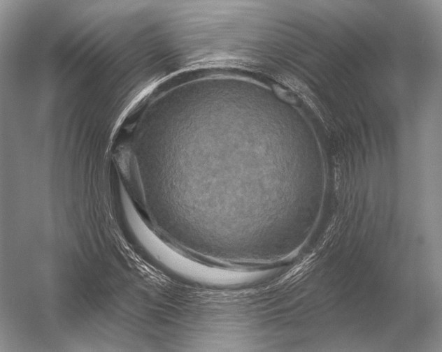 X0000056331069200509161703